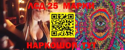 шишки Коммунар