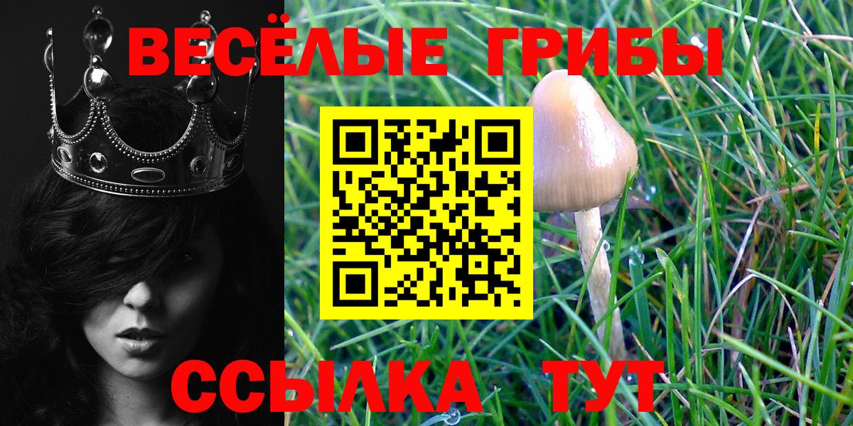 Псилоцибиновые грибы ЛСД  Вход с VPN  Каменск-Шахтинский 