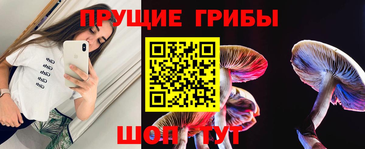 Галлюциногенные грибы MAGIC MUSHROOMS Каменск-Шахтинский